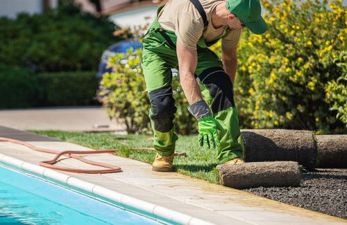 Commercial-Phoenix-Artificial-Grass-&-Turf-2